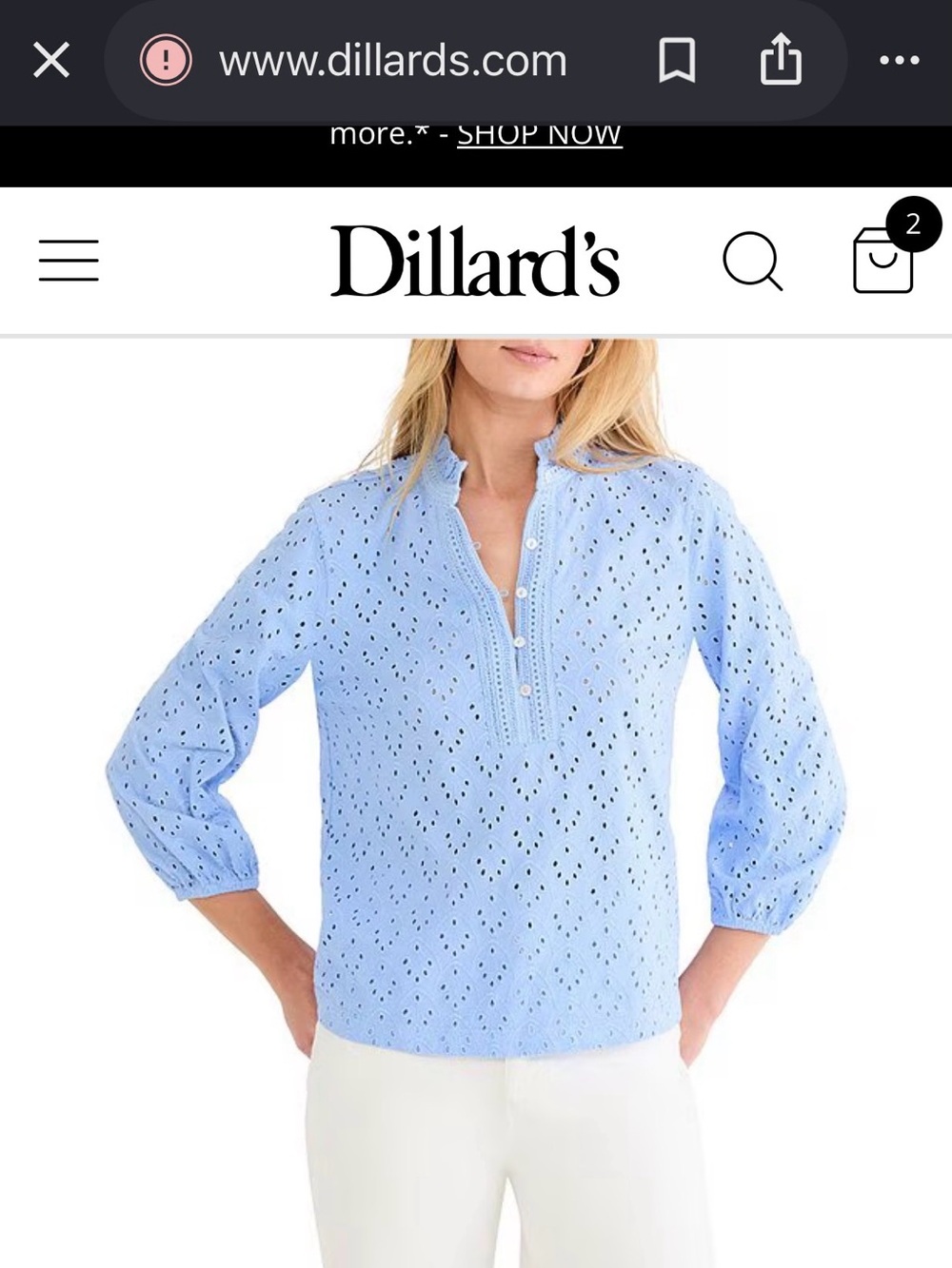 Nic and ZoeLight Blue Eyelet Ruffle-Neck Blouse